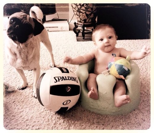 J_Lu_828's profile picture. Jay - volleyball fanatic / wine enthusiast / fun seeker / bottle flipper /dad /