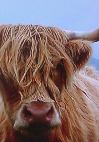 Louisawilson11's profile picture. 