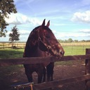 Anna Ekstrand - @ekstrand_anna - Twitter