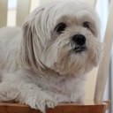 vicky plourde - @plume0037 - Twitter