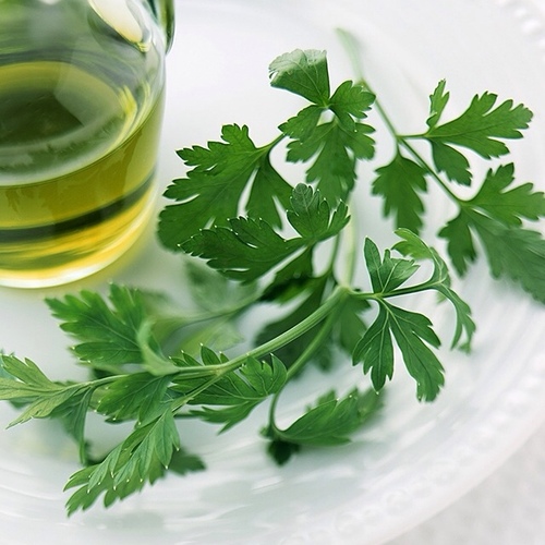 Urbanization_'s profile picture. This twitter is dedicated to educate people about urbanization and what it's bringing the earth (: Do retweet, favourite and follow ! (: