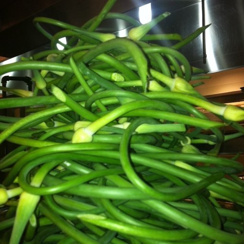 zuzka9's profile picture. Executive Chef. Glowbal Group Restaurants. Tweets are my own.