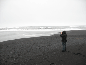 lisafalaschi's profile picture. being mom, eating, eco worrying, gardening, arts marketing, knitting...