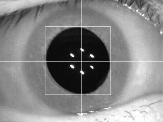 DVCTO's profile picture. 