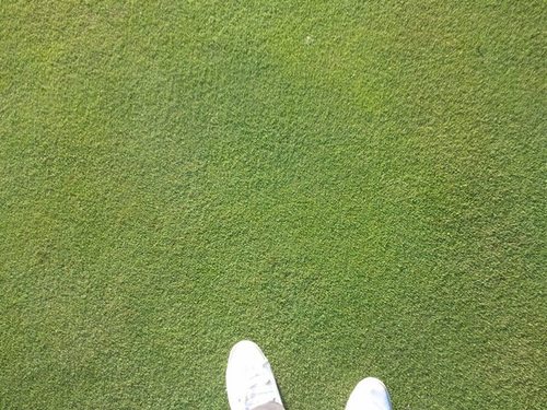 Foot..  @AS_Monaco
Rugby, Golf, Eco, Entrepreneuriat..  immo.