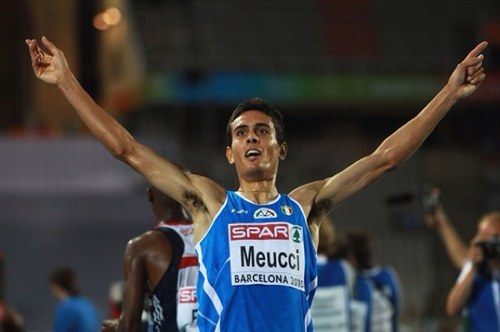 MeucciDaniele's profile picture. 