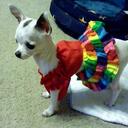 Sharon Hurley - @tccandy - Twitter