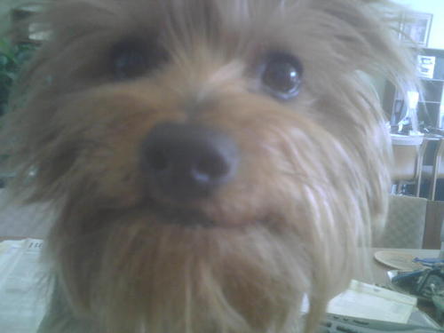 charlieandi's profile picture. Owner of The Flower http://t.co/dNax84AS in Bastrop, TX  Custom floral designs.