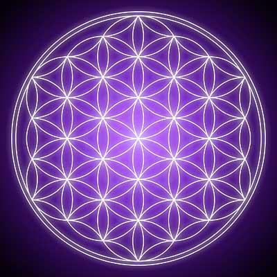 ShivaStarseed's profile picture. Warriors of Light