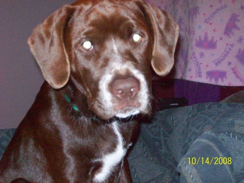 juice26us's profile picture. 