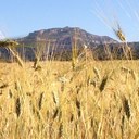 Mario Paris Terrassa - @MarioParisTerra - Twitter