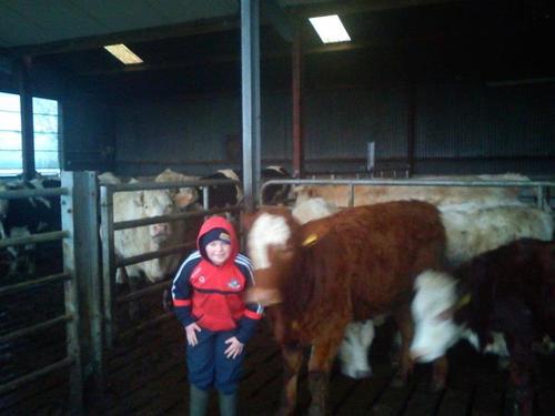 sean8903's profile picture. 