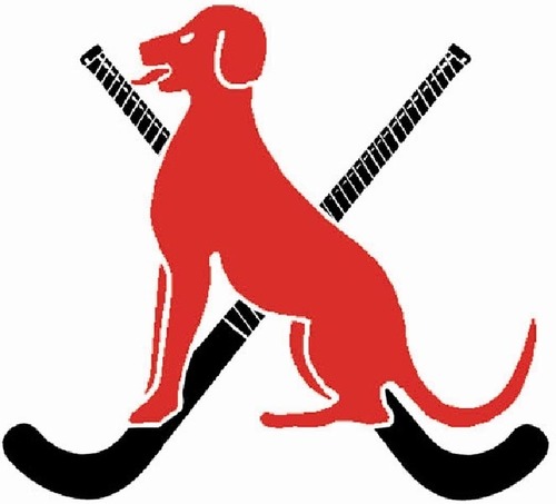 SudburyHC's profile picture. Sudbury Hockey Club, providing quality, enjoyable & sociable hockey for all since 1905. Please follow us & check out our website! #SudburyHockeyClub