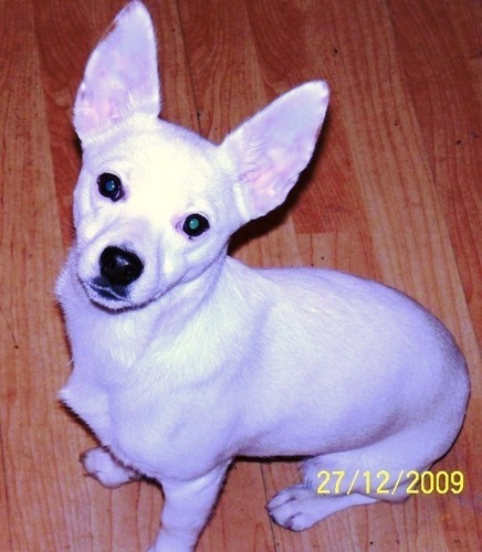 DHen68's profile picture. 