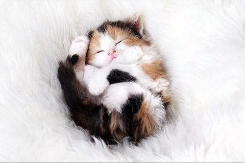 Angell_BB76's profile picture. 