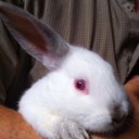 Robert March - @rhkmarch - Twitter