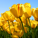Joanna Smith - @JoSmithHighland - Twitter