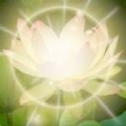 CosmicCowgrrl's profile picture. Here just to keep up with the latest news.