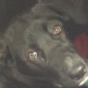 Brenda Jager - @bjager12 - Twitter