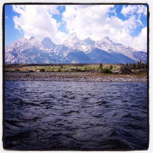 bbach83's profile picture. 