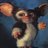 paende's profile image