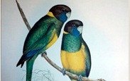 #Art, #Antiques and #Vintage Objects! We started out in art and have evolved to carry interesting items for your home.