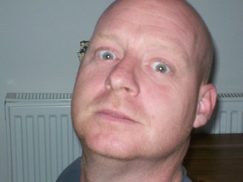 theboyplant's profile picture. 