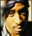 keep ya head up and clik on the follow button