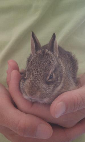 ShelleyHeckert's profile picture. 