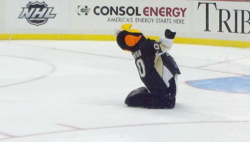 Merely a new twitter follower, but I inspire to be a great follow, So please give a follow and help my dream. I follow back. Go Pens and all things Pittsburgh.