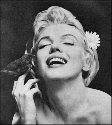 Zynpsngn's profile picture. You can not see life, you do not have the right to feel bad.