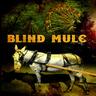 blindmulemusic's profile picture. BM combines alt/country boogie, prog/pop, reggae/ska, and rounds it out with an energetic stage performance, keeping the dance floor alive and the music fresh