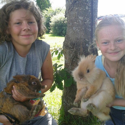 evgenija_al_534's profile picture. 