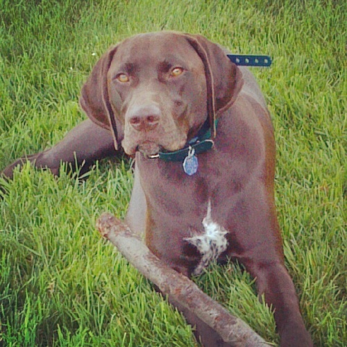 SMC0403's profile picture. 