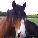 Dan Dillon - @ddillon527 - Twitter