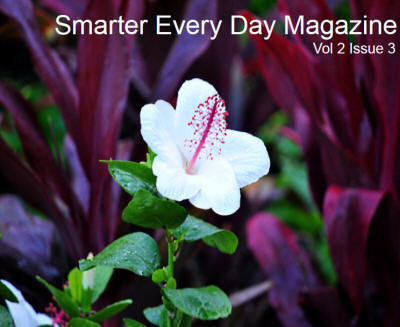 Smarter Every Day Magazine is a magazine created specifically for the person ready to improve themselves in business, life, family and everywhere else.