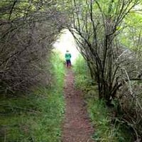 Anne Guerry, Ph.D. (@anneguerry) 's Twitter Profile Photo