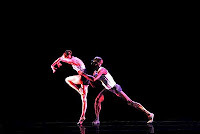 Traideque1's profile picture. 