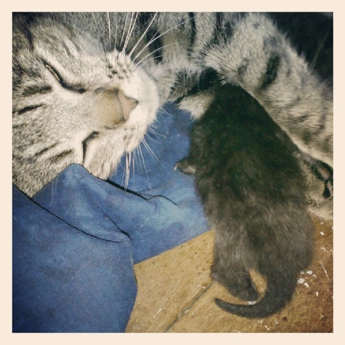 LeeAnne420's profile picture. 