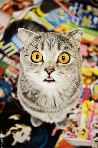 dryompavel's profile picture. 