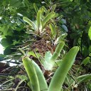 Eric Seal - @pappyseal - Twitter