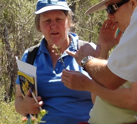 Landcare from Stanthorpe to St George; from Mitchell to Toowoomba. And more!
