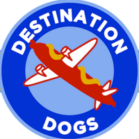 Destination Dogs (@destinationdogs) 's Twitter Profile