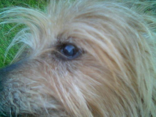 bitoerin's profile picture. Animal rights, human rights activist. Liberal Socialist. No god for me too much horror in this world. Love art, music of all kinds.