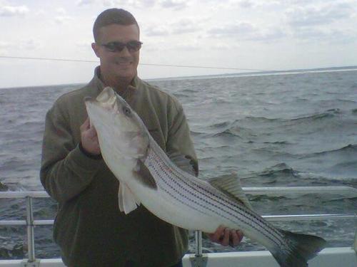 mattpvogt's profile picture. #twitterhereicome