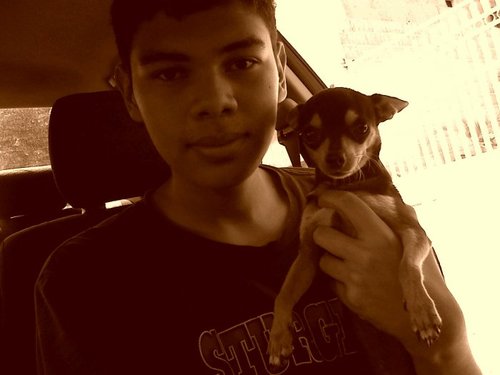 I'm a little monster!! Mi BB Pin:29FE69C3 paws up♥_♥
http://t.co/N37C1ZaaAn