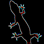 geckogates's profile picture. I play games (less and less every year), fix comps and live with parents, lived in hawaii for 10 years, california as a child. currently living in south Texas