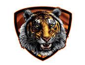 OgdenHighTigers's profile picture. The official twitter account of Ogden High School