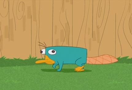Hey! I'm the Flynn's Backyard Fence! I don't do much but I can be a place where Perry can escape or Phineas and Ferb can hide somethings!