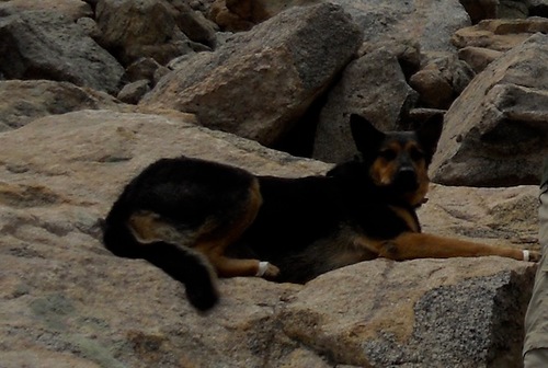 RealtyTeamCO's profile picture. We help investors buy and sell real estate.